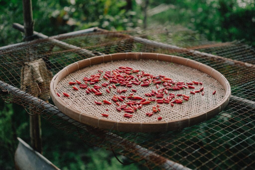 Contacta Guillermo Iranzo Abellán chilli, food, pepper, cooking, red, spicy, countryside, farm, field, village, harvest